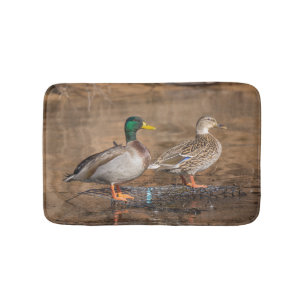 Paar van Mallard Ducks Mat