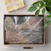 Paar van Mallard Ducks Tissuepapier (Geschenk)