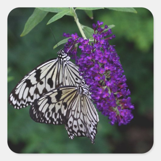 Paar van papiervliegers vierkante sticker (Voorkant)