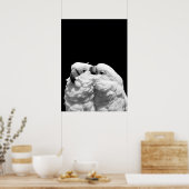 Paar van paraplu-cockatoes poster (Keuken)