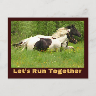 Paar van Pintos Briefkaarten