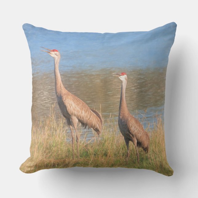 Paar van Sandhill Cranes Buitenkussen (Voorkant)
