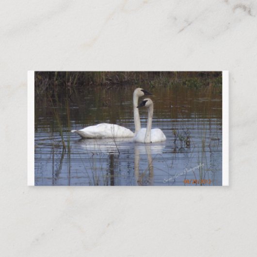 Paar van scheuren informatiekaartje (Voorkant)