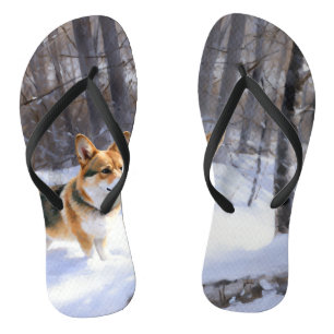 Paar van Teenslippers