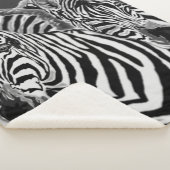 Paar Zebra Sherpa Blanket Deken (3/4)