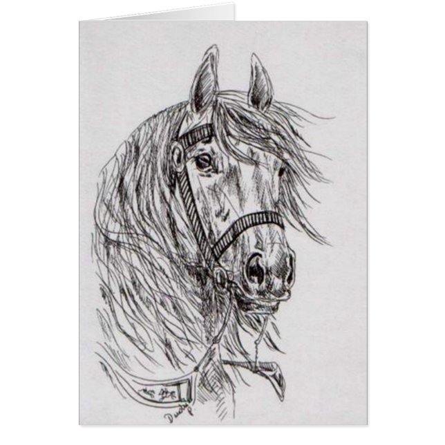 paard (Voorkant)
