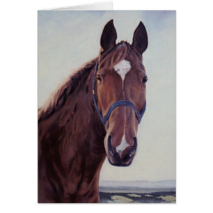 Paard