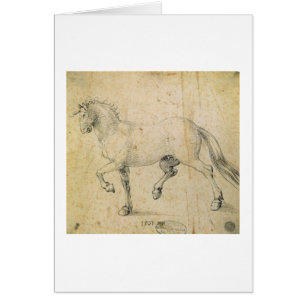 Paard, 1503 (pen en inkt op papier)