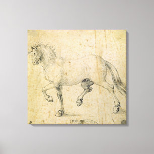 Paard, 1503 (pen en inkt op papier) canvas afdruk