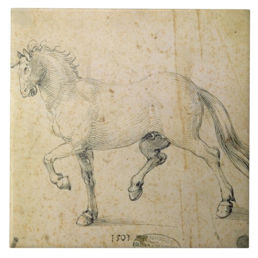 Paard, 1503 (pen en inkt op papier) tegeltje (Voorkant)
