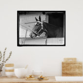  paard 1913 poster (Keuken)