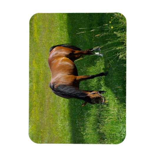 Paard #1 magneet (Verticaal)