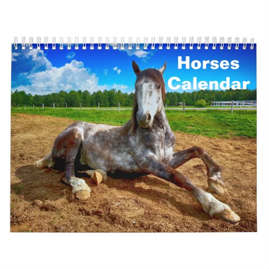 Paard 2025 kalender (Hoes)