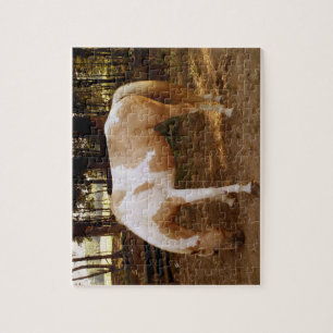 Paard 3 Puzzle Legpuzzel