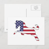 Paard "Amerikaanse vlag" Briefkaart (Voorkant / Achterkant)
