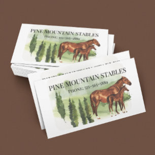 Paard Aquarel Rijstallen Western Visitekaartje