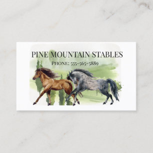 Paard Aquarel Rijstallen Western Visitekaartje