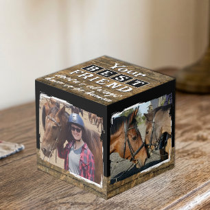 Paard beste vriend 4 foto roestbruin zwart kubus