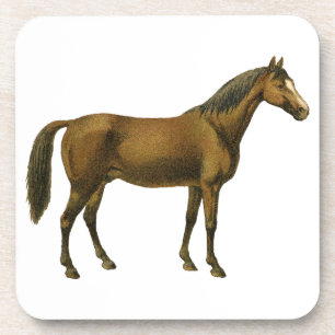 paard bier onderzetter