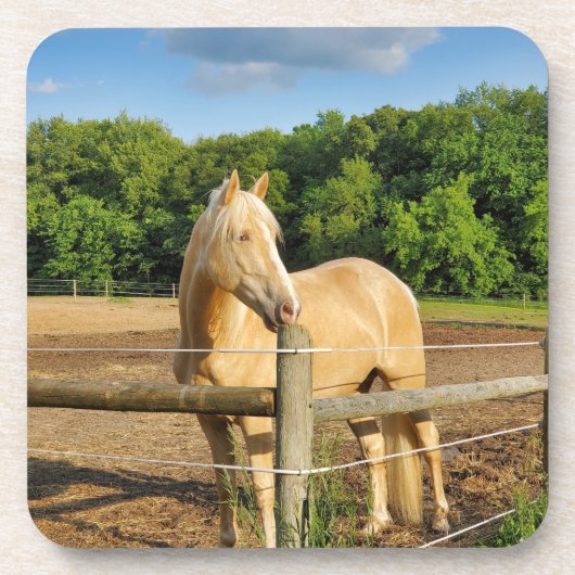 Paard Bier Onderzetter (Voorkant)
