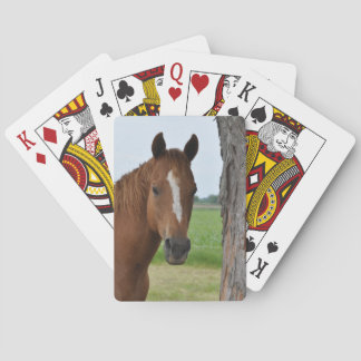 Paard Bij Boom Speelkaarten