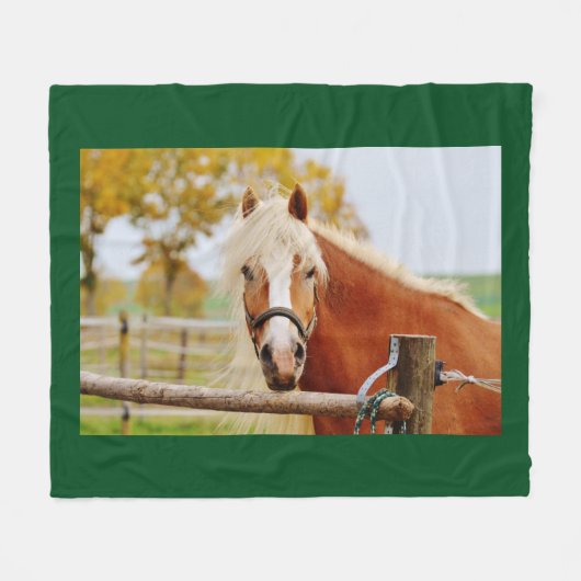 Paard bij poort fleece deken (Voorkant (Horizontaal))
