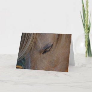 Paard blanco kaart sjabloon kaart