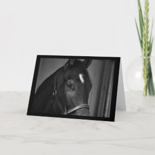 Paard blanco kaart sjabloon kaart