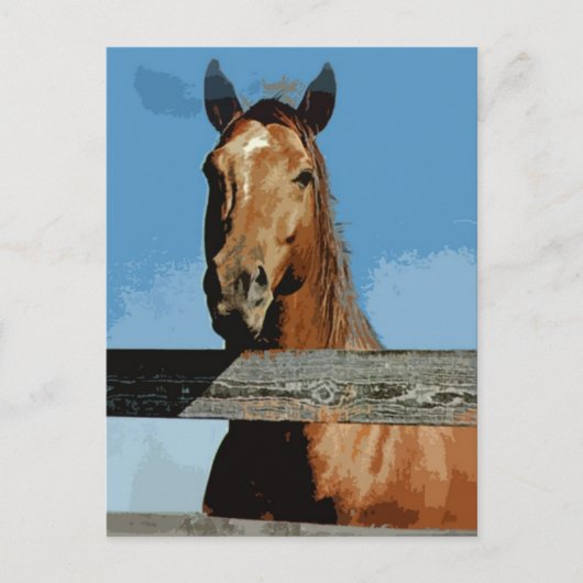 Paard Briefkaart (Voorkant)