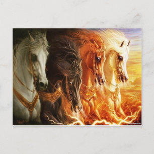 Paard Briefkaart
