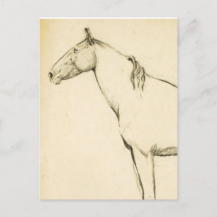 Paard Briefkaart