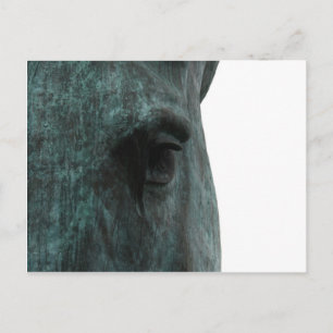 Paard Briefkaart