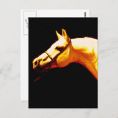 Paard Briefkaart (Voorkant / Achterkant)