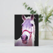 Paard Briefkaart (Staand voorkant)