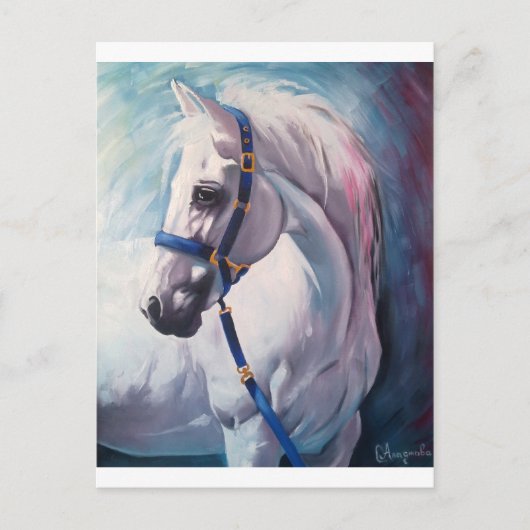 Paard Briefkaart (Voorkant)