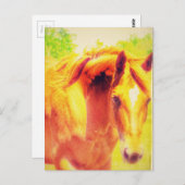 Paard Briefkaart (Voorkant / Achterkant)