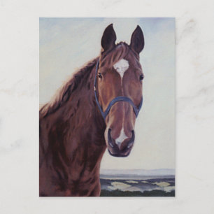 Paard Briefkaart