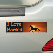 paard bumpersticker (Op auto)