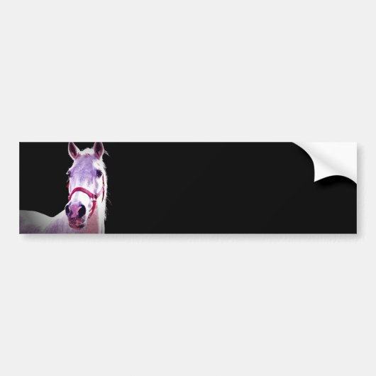 Paard Bumpersticker (Voorkant)