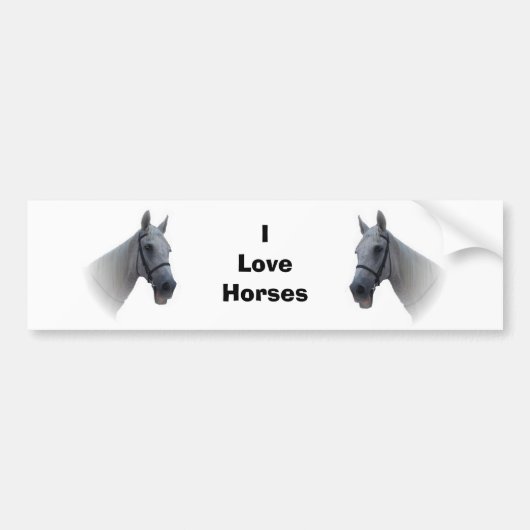 Paard Bumpersticker (Voorkant)