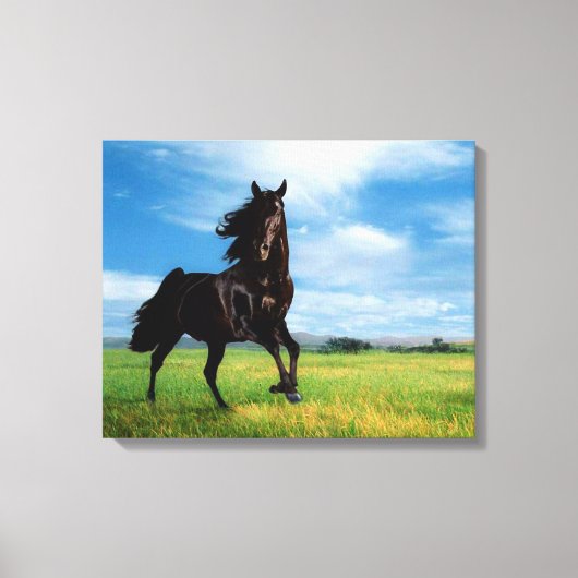 Paard Canvas Afdruk (Voorkant)