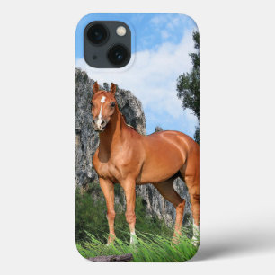 Paard iPhone 13 Hoesje