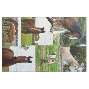 Paard_Collage, gekamd katoen (56" breedte) Materia Stof