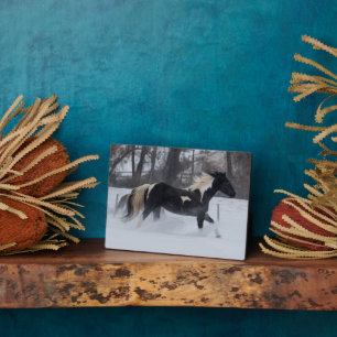 Paard dat door de sneeuw rent fotoplaat