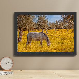 Paard dat graast op een weiland met gele bloemen poster