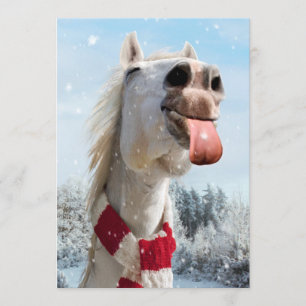 Paard dat sneeuwvlokken vangt kaart