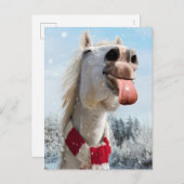 Paard dat sneeuwvlokken vangt uitnodiging briefkaart (Voorkant / Achterkant)