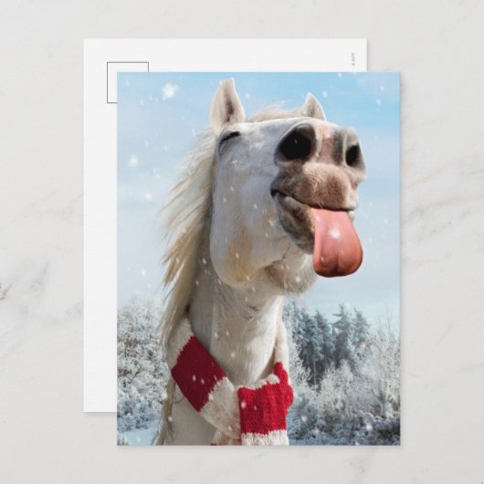 Paard dat sneeuwvlokken vangt uitnodiging briefkaart (Voorkant / Achterkant)