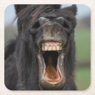 Paard die zijn tanden laat zien vierkante kartonnen onderzetter