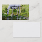 Paard Drink water fotoprint Visitekaartje (Voorkant / Achterkant)